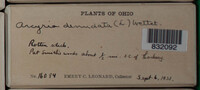 Image Associated With the Occurence